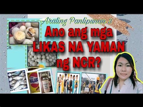 likas na yaman ng ncr